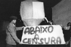 ©Rosa Gauditano